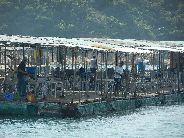 DSCN8778.JPG