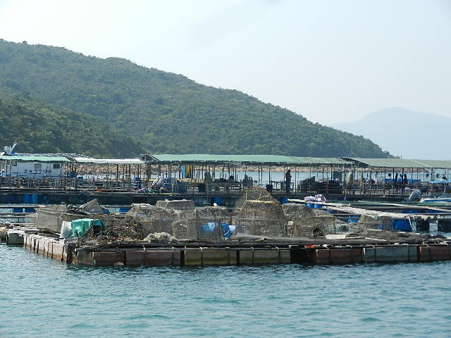 DSCN8780.JPG