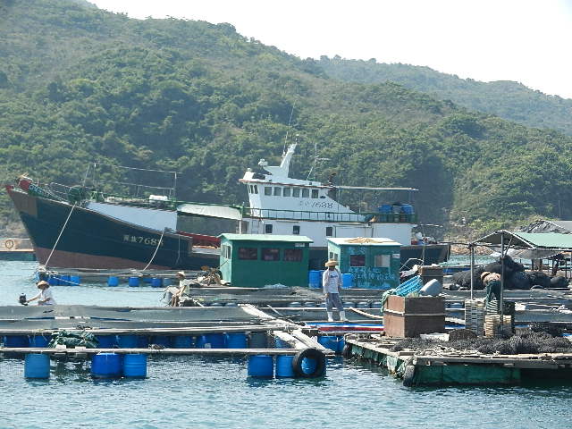 DSCN8782.JPG