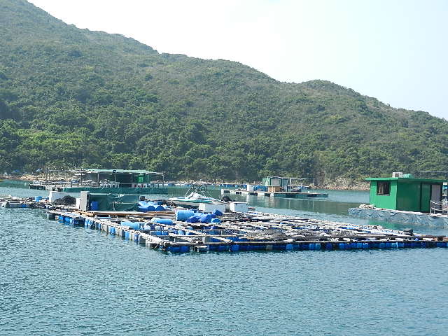 DSCN8784.JPG