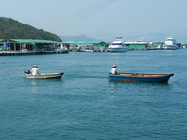 DSCN8787.JPG