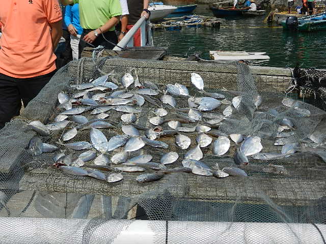 DSCN8790.JPG