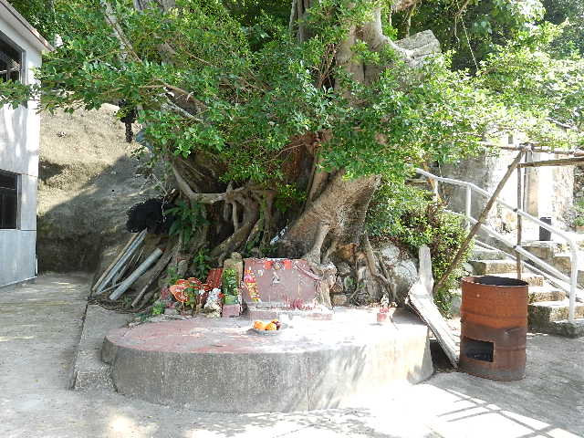 DSCN8799.JPG