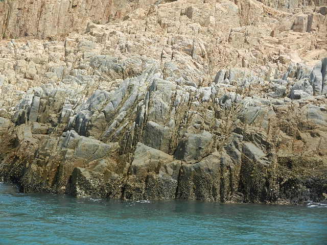 DSCN8859.JPG