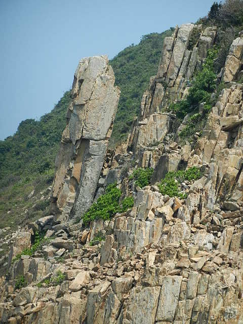 DSCN8900.JPG