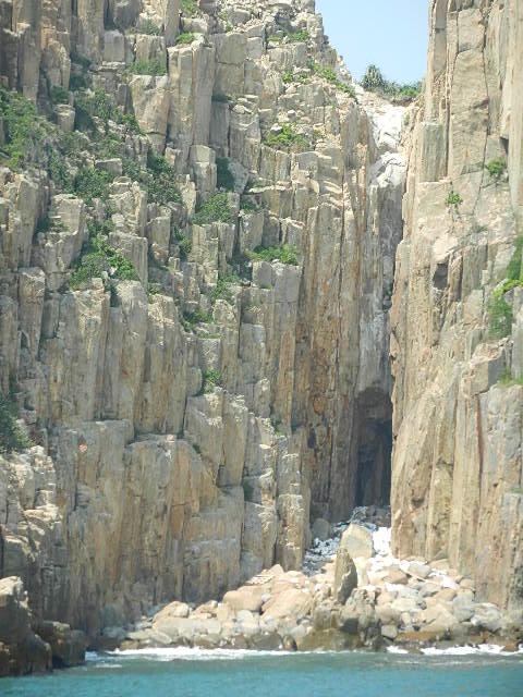 DSCN8931.JPG