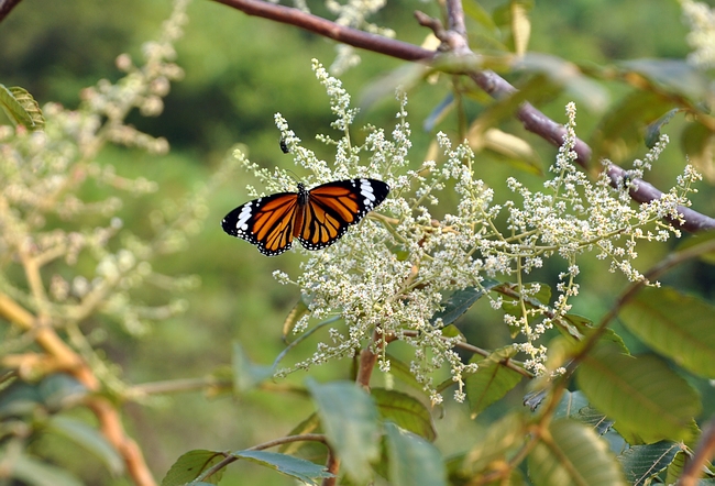 DSC_0673.JPG