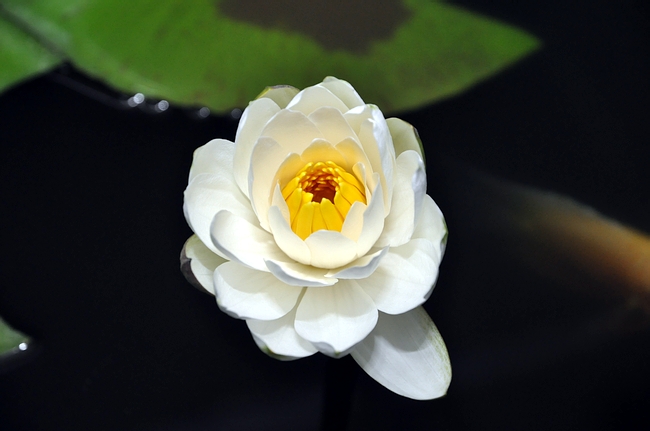 DSC_0786.JPG