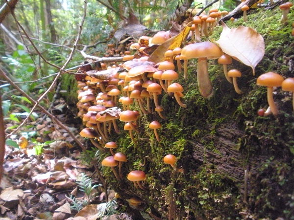 DSCN9480.JPG