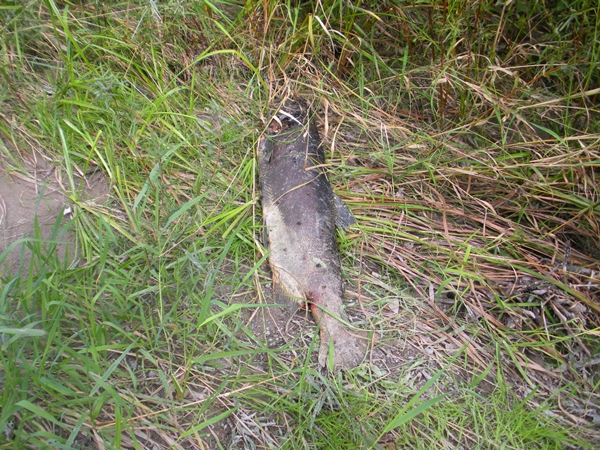 DSCN9513.JPG