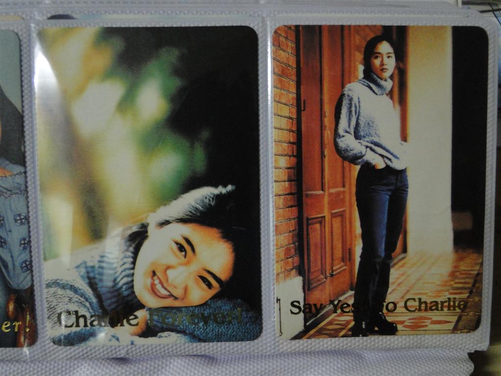 DSC00166 (Large).JPG