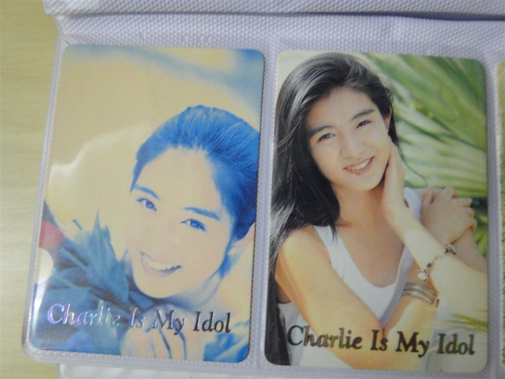 DSC00167 (Large).JPG