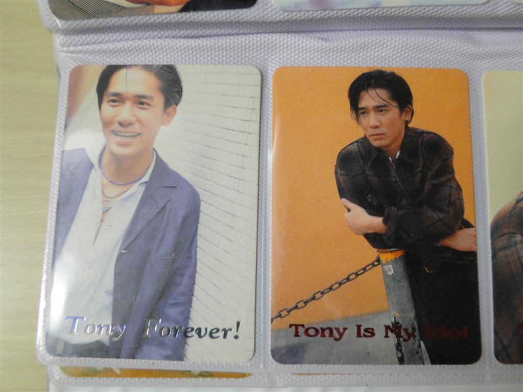 DSC00192 (Large).JPG