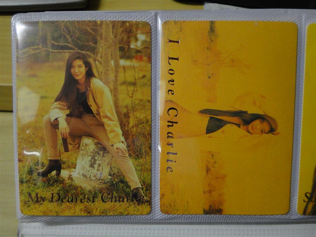 DSC00202 (Large).JPG