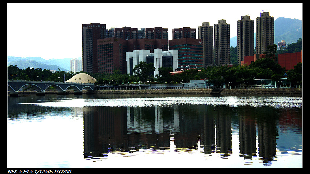 DSC05636.jpg