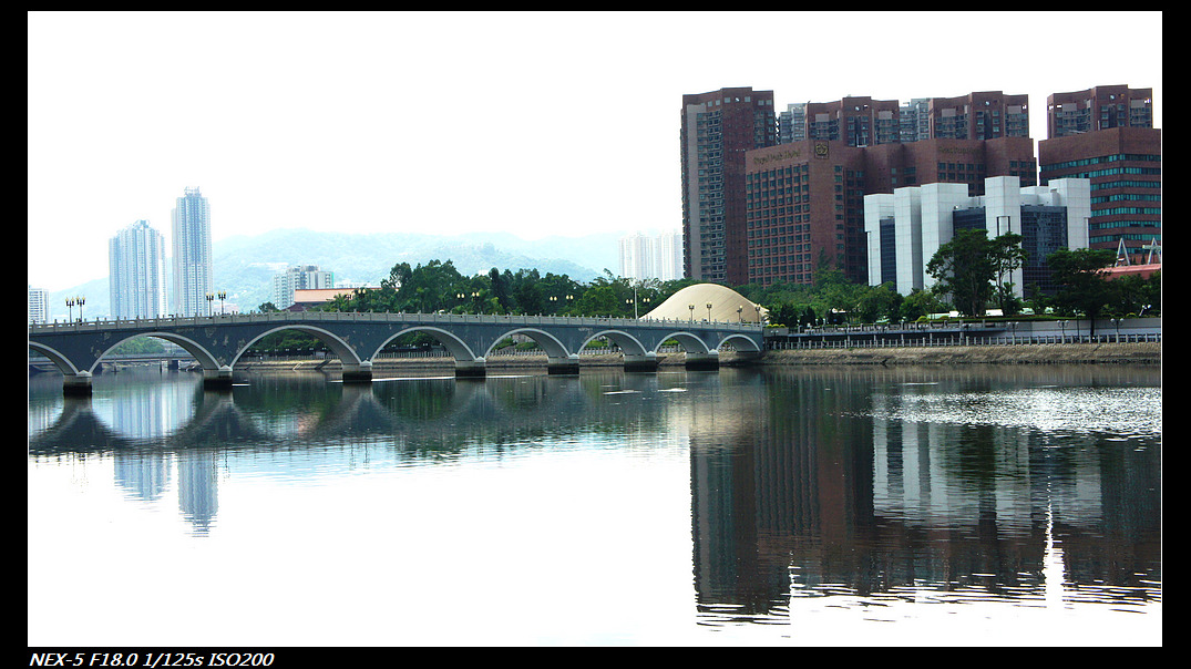 DSC05637.jpg