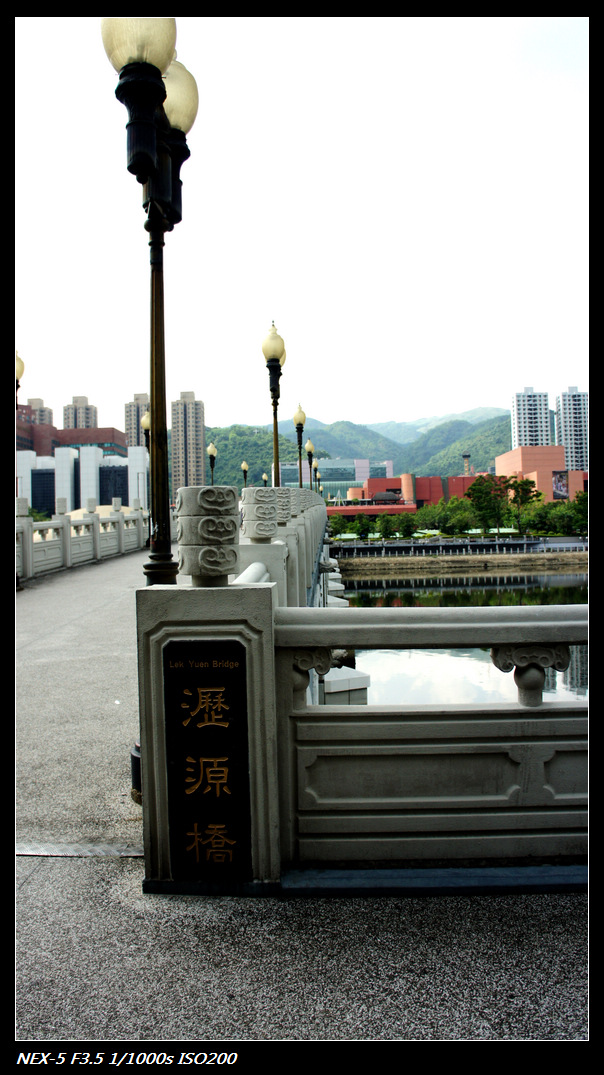 DSC05647.jpg
