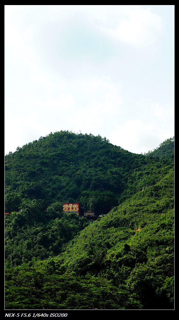 DSC05675.jpg