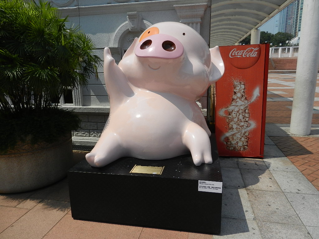 DSCN9149.JPG