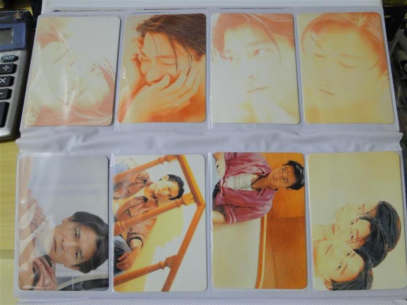 DSC00237 (Large) (Medium).JPG