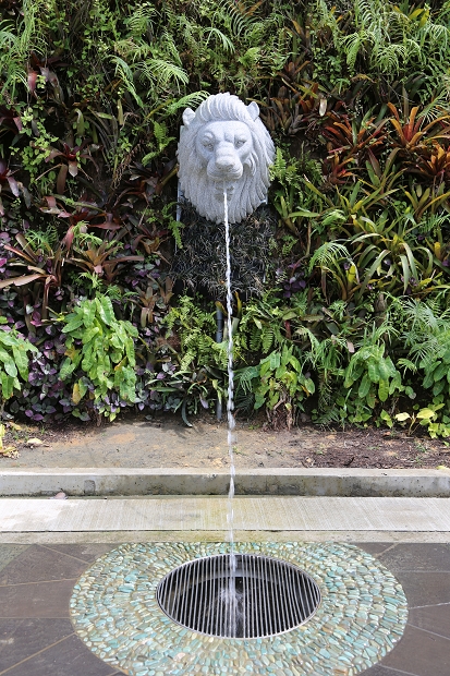 6.JPG