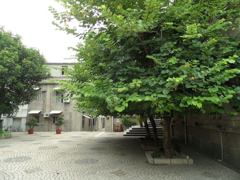SAM_0381.jpg