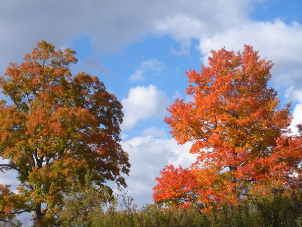 DSCN9769.JPG