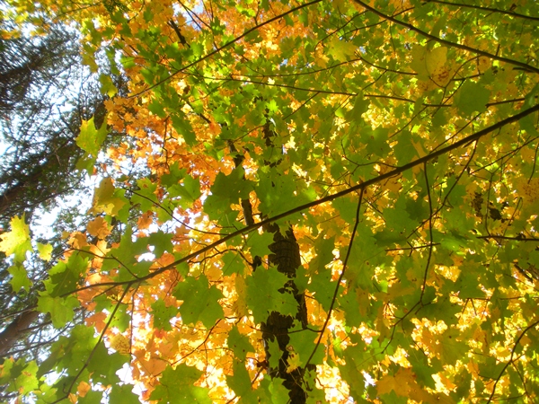 DSCN9757.JPG