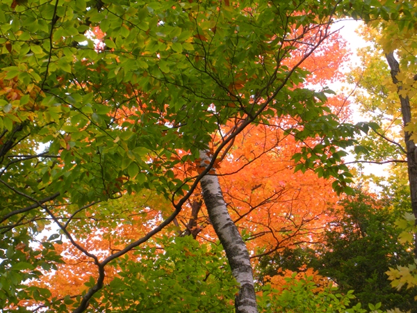 DSCN9742.JPG
