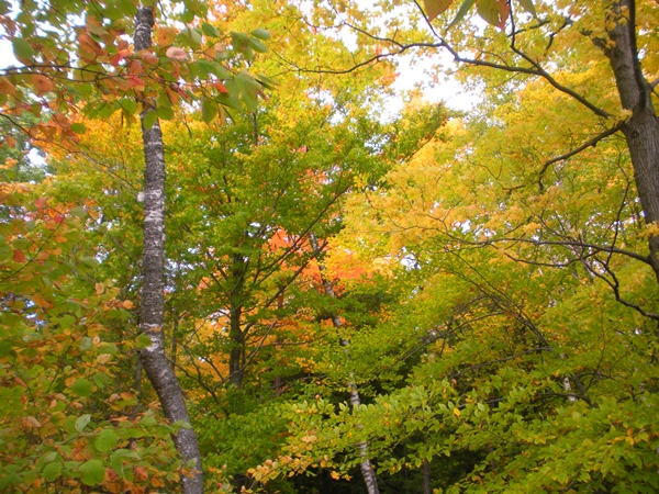 DSCN9741.JPG