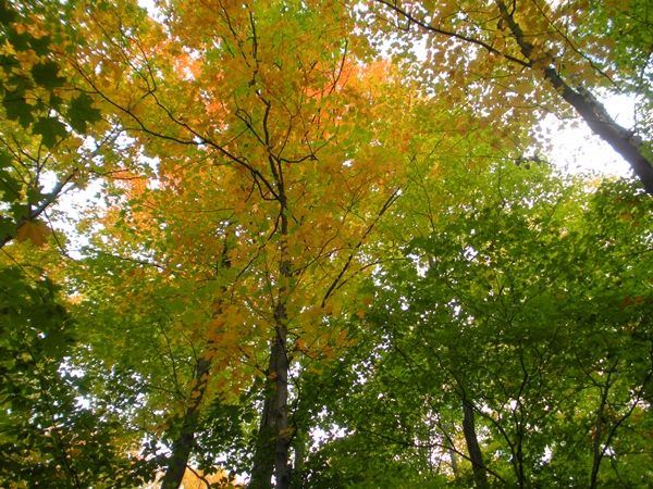 DSCN9739.JPG