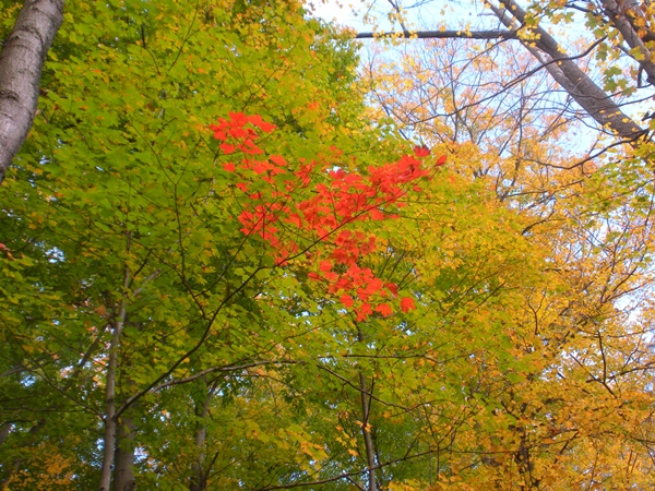 DSCN9736.JPG