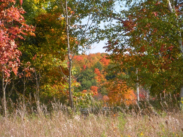 DSCN9701.JPG