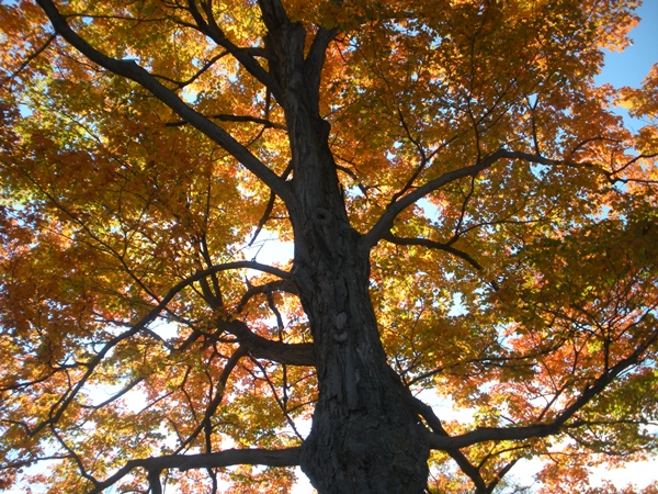 DSCN9585.JPG