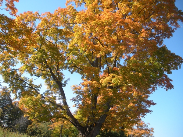 DSCN9586.JPG