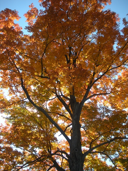 DSCN9590.JPG