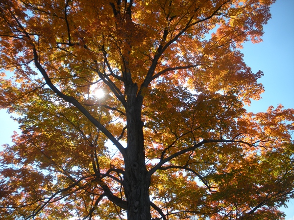 DSCN9595.JPG