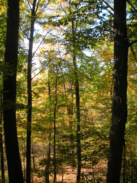 DSCN9608.JPG