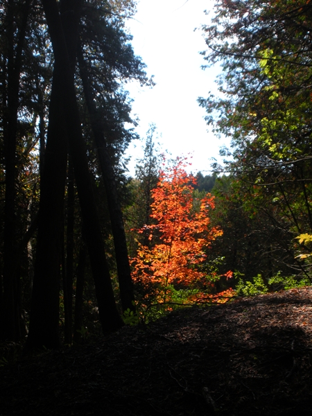 DSCN9619.JPG