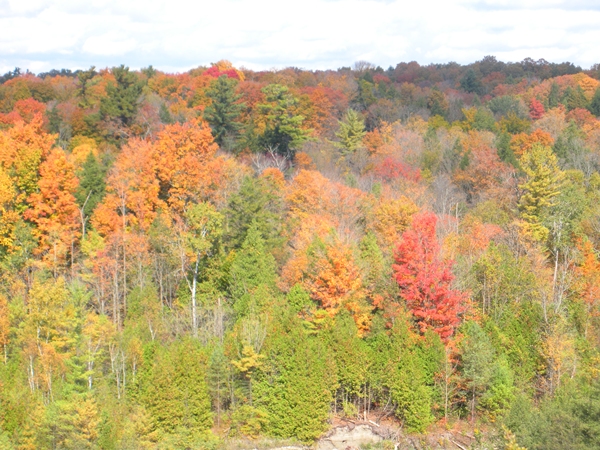 DSCN9623.JPG
