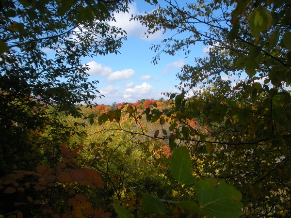 DSCN9633.JPG