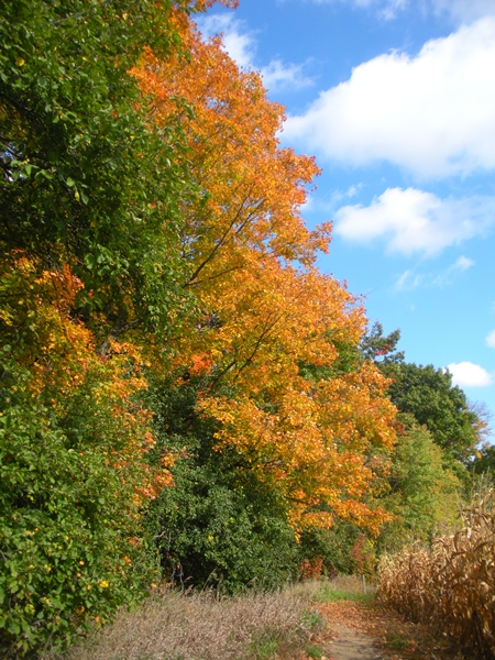 DSCN9639.JPG
