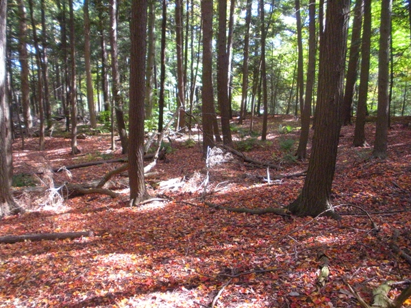 DSCN9643.JPG
