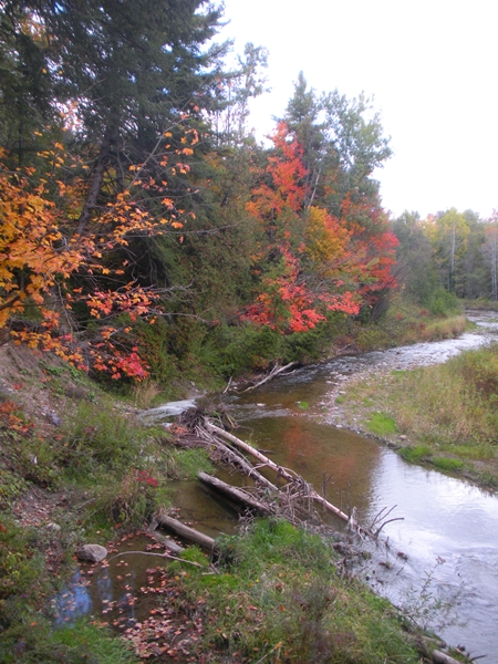 DSCN9654.JPG