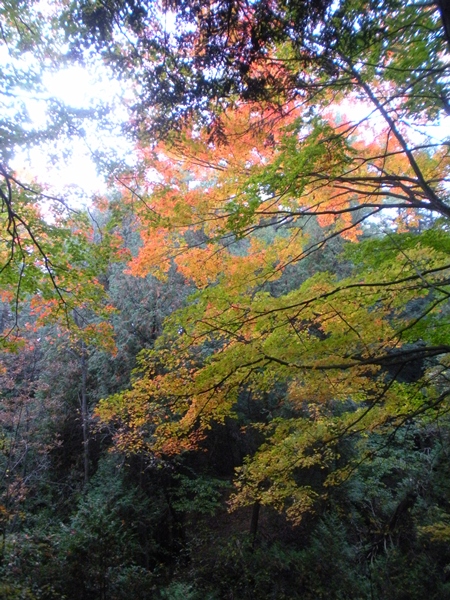 DSCN9662.JPG