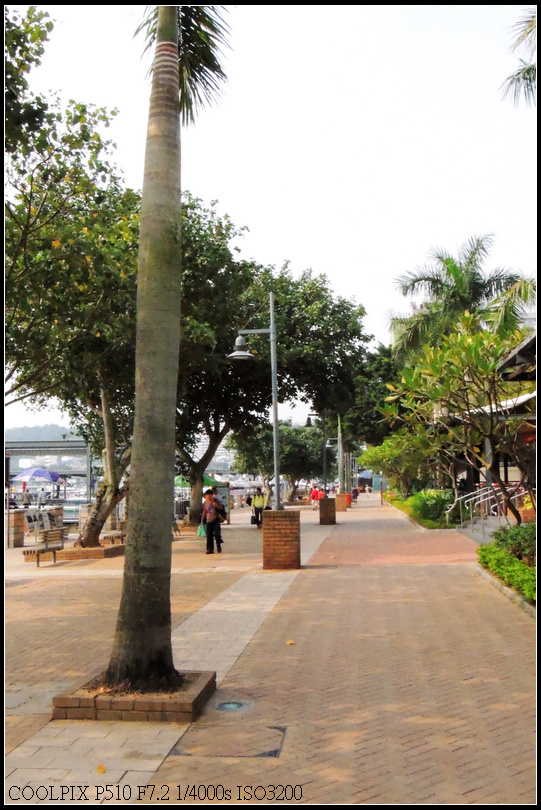 DSCN2111.jpg
