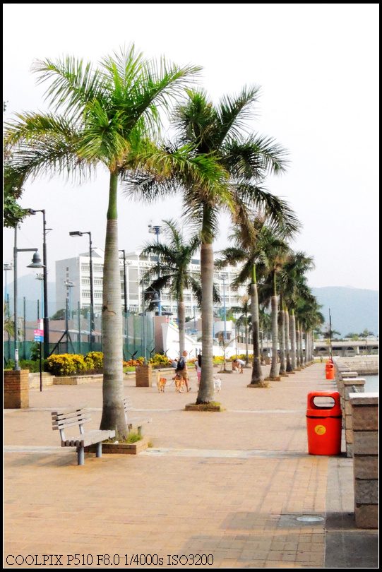 DSCN2120.jpg
