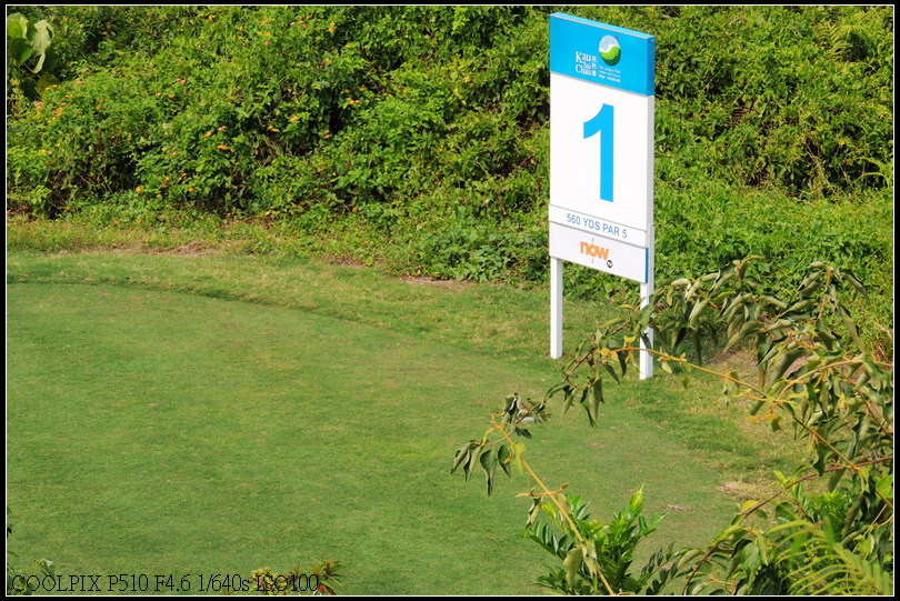DSCN2231.jpg
