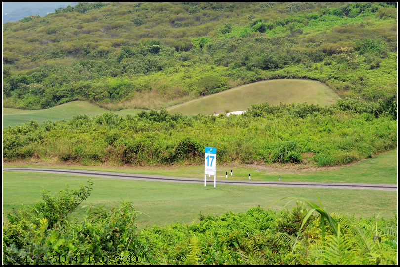 DSCN2235.jpg