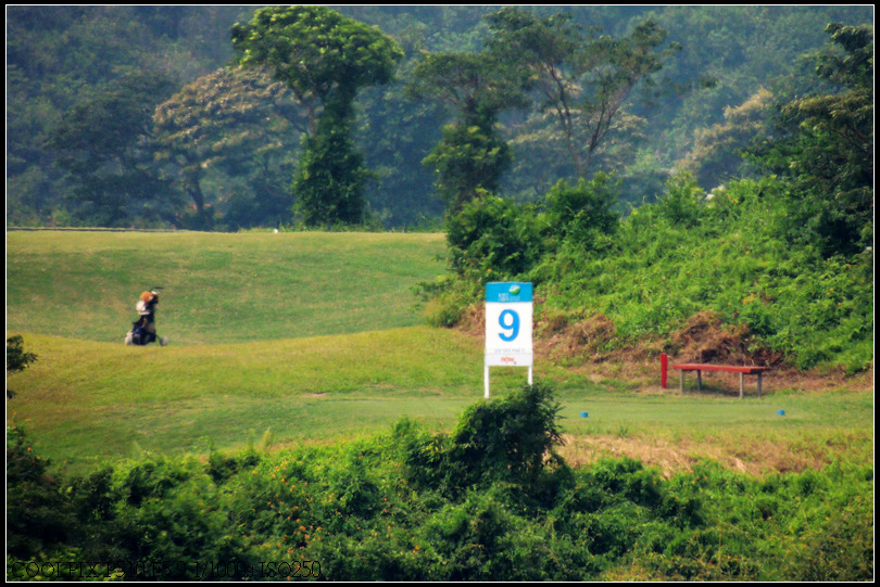 DSCN2239.jpg